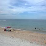 Swim near sea turtle nests
